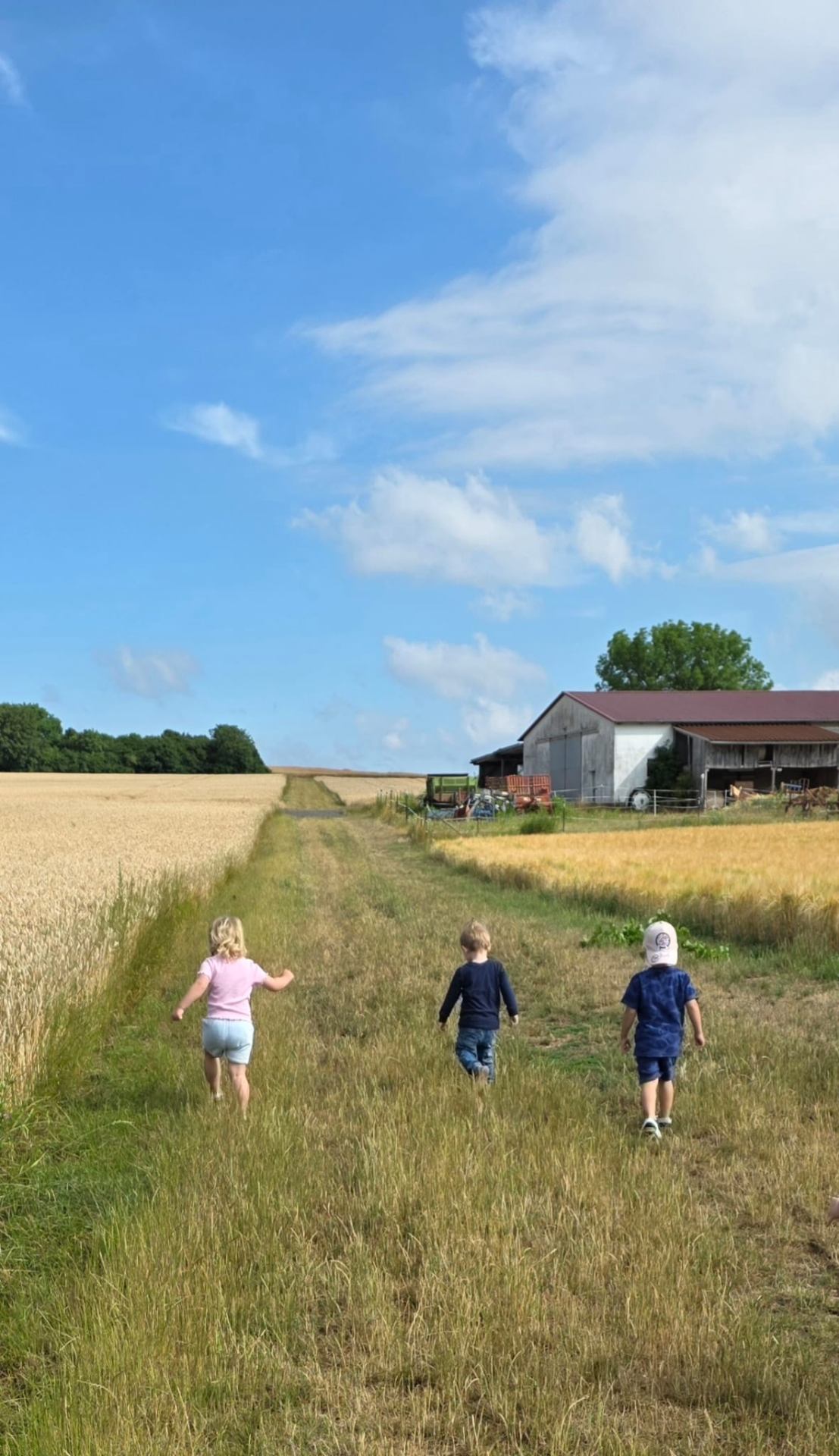 Kinder laufen auf einem Feldweg zwischen Getreidefeldern